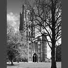 monochrome photo of Ely Cathedral in early spring