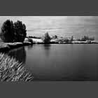 black and white photo of Lake Ewart Cambourne