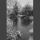black and white photo of frozen pond in Great Gransden