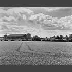 black and white photo of wheatfield and grain silo near Great Gransden
