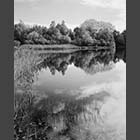 black and white photo of Weedy Lake at Paxton Pits