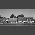 black and white photo of thatched cottages at Barrington