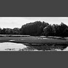 black and white photo of Layling Lake at Paxton Pits