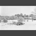 black and white photo of snow covered fields at Great Gransden